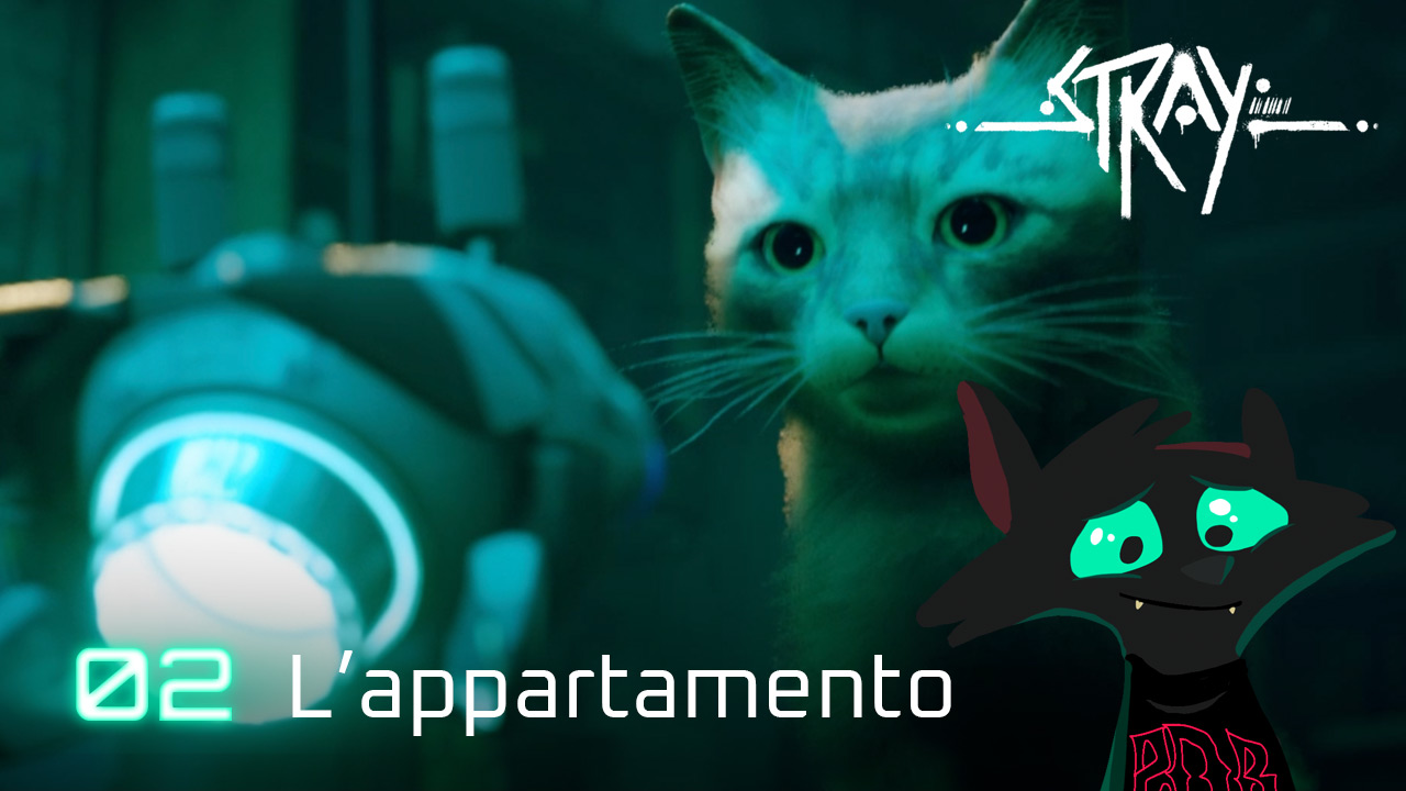 Stray – L’appartamento