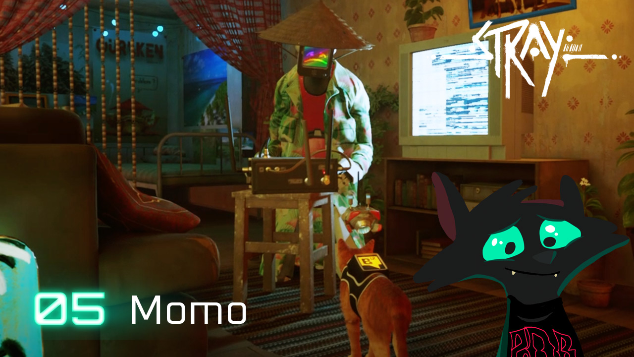 Stray – Incontriamo Momo!