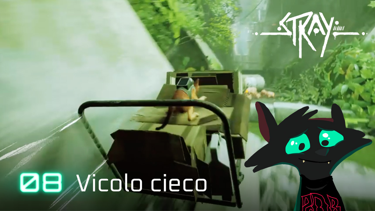 Stray – l’inseguimento più pazzo di Stray!